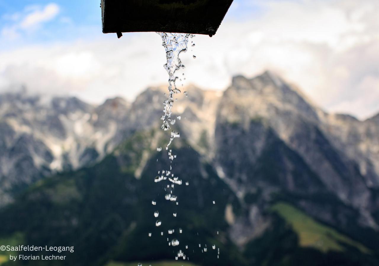 Appartements Kuckuck Leogang Exteriér fotografie